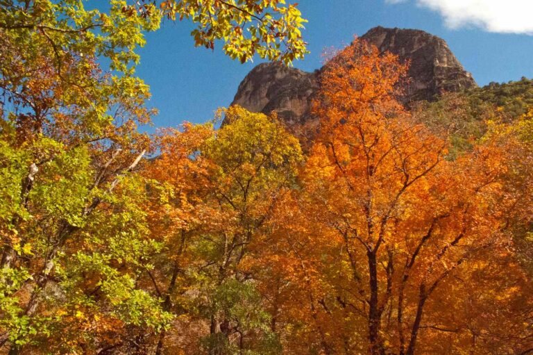 This Remote Texas Canyon Has Some of the Most Stunning Fall Foliage in the U.S.